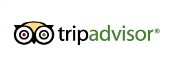 31313426-0-tripadvisor 31313426-0-tripadvisor